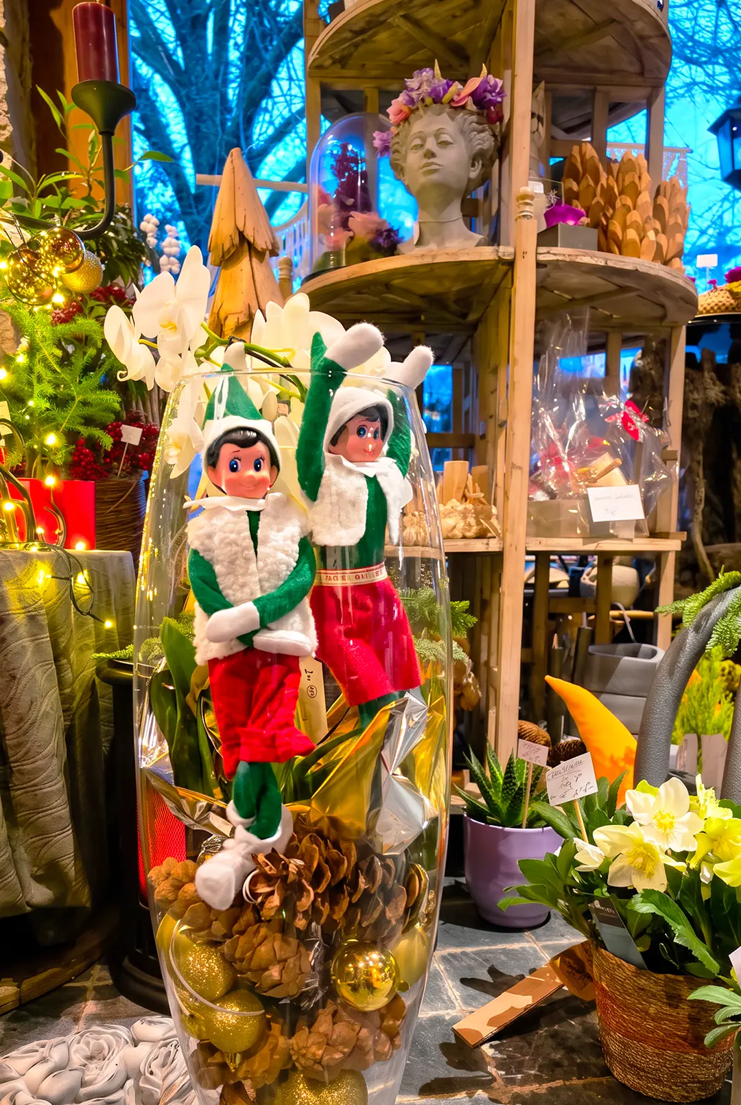 Deux Lutins Farceurs® en vitrine, chez un fleuriste décorateur